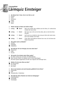 L&auml;rmquiz f&uuml;r "Einsteiger" mit L&ouml;sungen - Tatort-Ohr