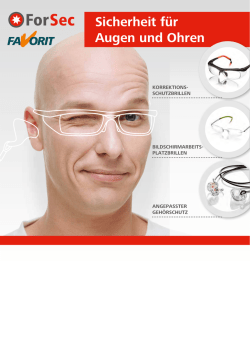 Sicherheit für Augen und Ohren