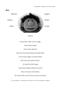 Rico Gesicht Haare Nase Mund Augen Ohren Zunge