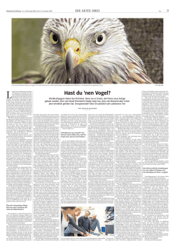 Hast du `nen Vogel?