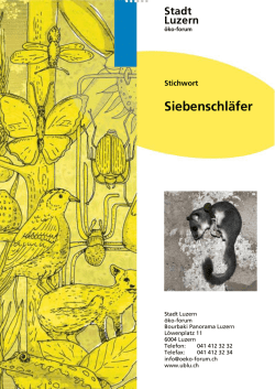 Siebenschläfer - Umweltberatung Luzern