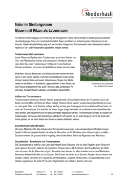 Mauern mit Ritzen als Lebensraum