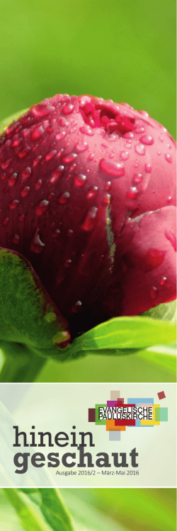 hinein geschaut