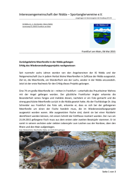 Meerforelle in der Nidda gefangen - IG