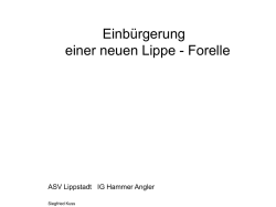 Einb&uuml;rgerung einer neuen Lippe - Forelle - Februar