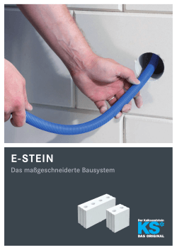 E-StEin - KS
