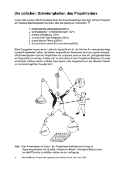 Die &uuml;blichen Schwierigkeiten des Projektleiters