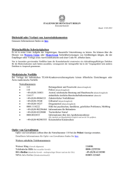 Diebstahl oder Verlust von Ausweisdokumenten Wirtschaftliche