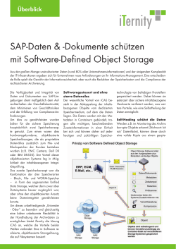 SAP-Daten & -Dokumente schützen mit Software