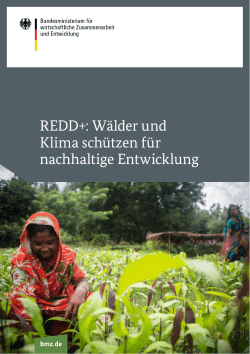 REDD+: Wälder und Klima schützen für nachhaltige Entwicklung