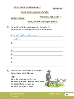 Hund, sollte aufpassen, Schafe
