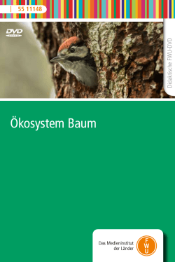 Ökosystem Baum