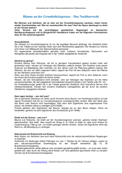 Bäume an der Grundstücksgrenze – Das Nachbarrecht