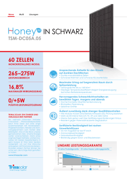 IN SCHWARZ - Trina Solar