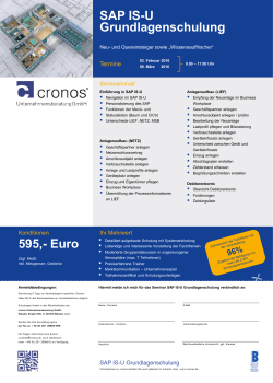 SAP IS-U Grundlagenschulung 595,- Euro