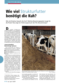 Wie viel Strukturfutter benötigt die Kuh?
