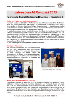 Jahresbericht Kompakt 2015 - Baden