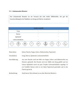 V 4 &ndash; Sch&auml;umendes Monster Gefahrenstoffe Materialien: kleine