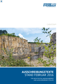 Ausschreibungstext caraton