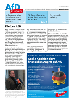 Gro&szlig;e Koalition plant finanziellen Angriff auf AfD