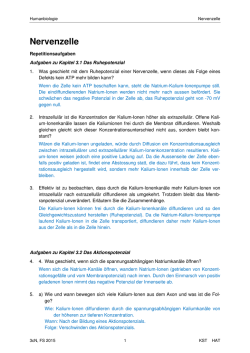 Nervenzelle_Musterlösungen zu den Repetitionsaufgaben