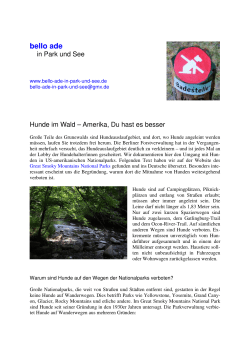 PDF-Version