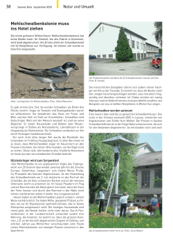 Artikel als pdf - Natur- und Vogelschutzverein Winterthur-Seen