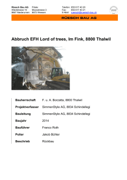 EFH Lord of trees Im Fink, Thalwil