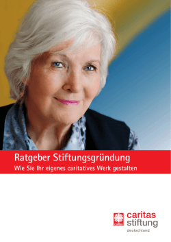Ratgeber Stiftungsgr&uuml;ndung - Wie Sie Ihr eigenes caritatives Werk