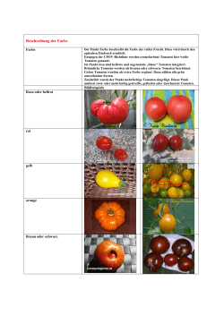 Beschreibung der Farbe - Tomaten