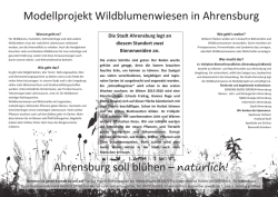 Die Stadt Ahrensburg legt an diesem Standort zwei