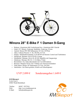Winora 28" E-Bike F 1 Damen 9-Gang