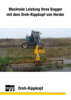 Dreh-Kippkopf
