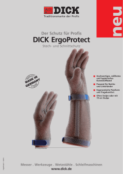 DICK ErgoProtect