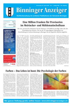 Eine Million Franken für Provisorien im Meiriacker