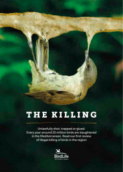 The Killing - BirdLife International