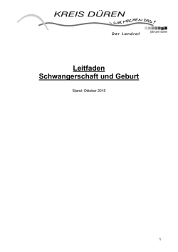 Leitfaden Schwangerschaft und Geburt