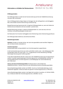 Information zu Sch&auml;den bei Restauratoren
