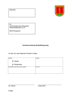 Schadensmeldung Straße / Bürgersteig