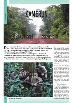 Bongojagd im Regenwald - Jagdreisen Jagd Krause