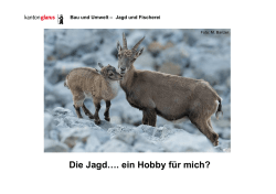 Die Jagd…. - Kanton Glarus