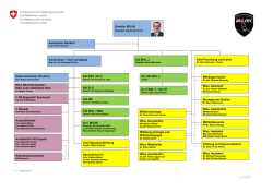 MILAK Organigramm