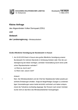 Gro&szlig;e &ouml;ffentliche Vereidigung der Bundeswehr in Husum