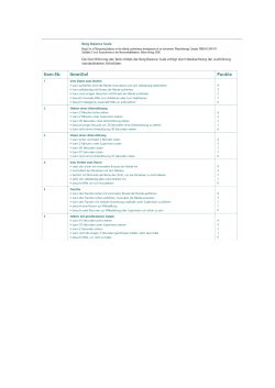 Berg Balance Scale