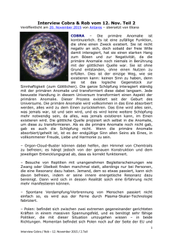 Interview Cobra_Rob_v.12.Nov.15_Teil 2