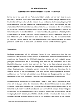 ERASMUS-Bericht über mein Auslandssemester in Lille, Frankreich