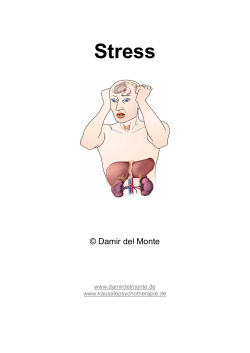 Stress - Dr. Damir del Monte Hirnwelten
