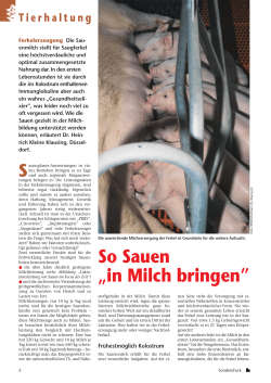 So Sauen „in Milch bringen”