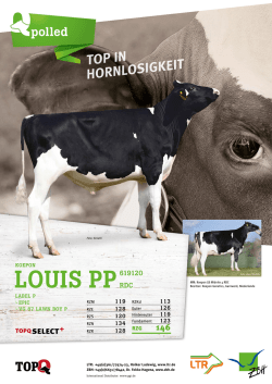 louis pp619120
