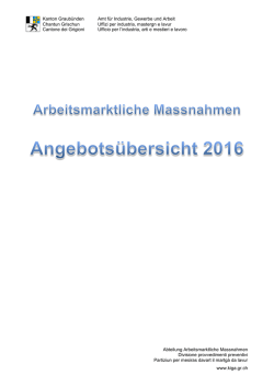 Übersicht Arbeitsmarktliche Angebote 2016